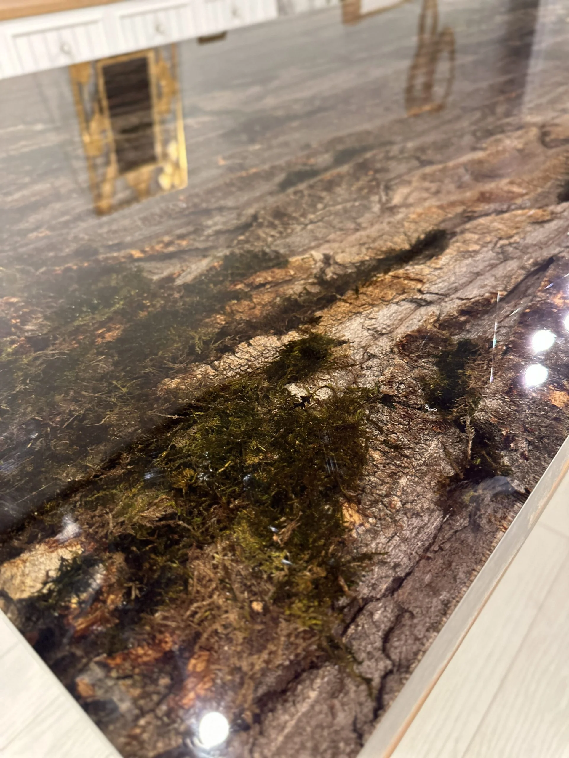 tree bark table